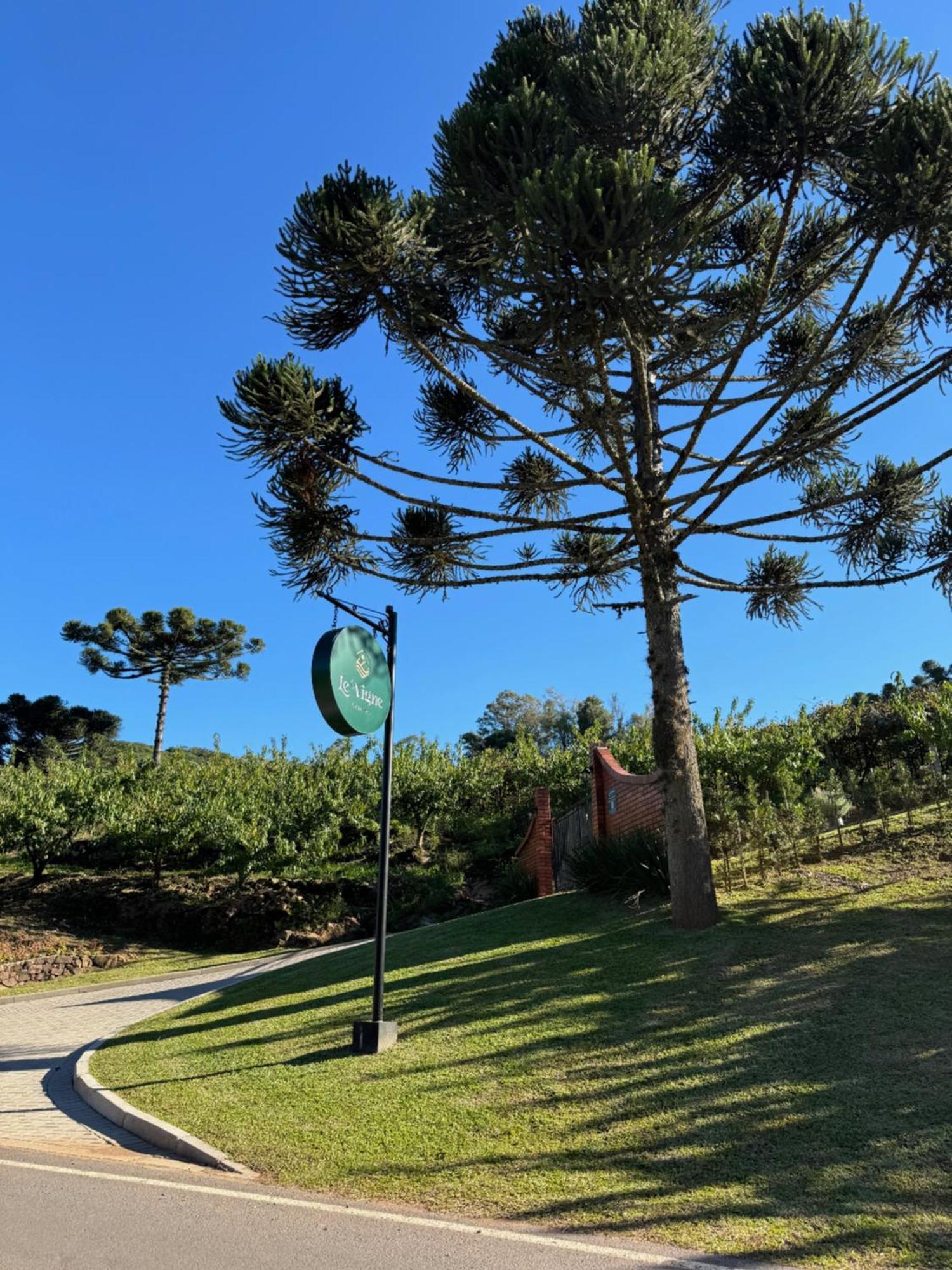 Cabanas Le Vigne Pinto Bandeira Zewnętrze zdjęcie