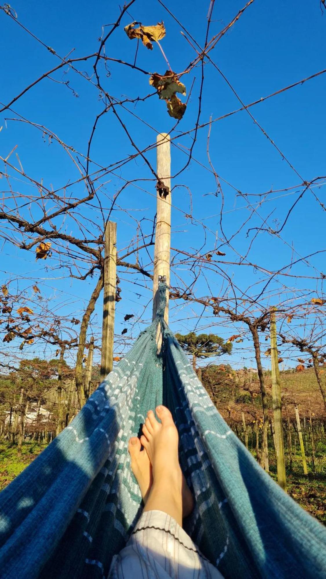 Cabanas Le Vigne Pinto Bandeira Zewnętrze zdjęcie