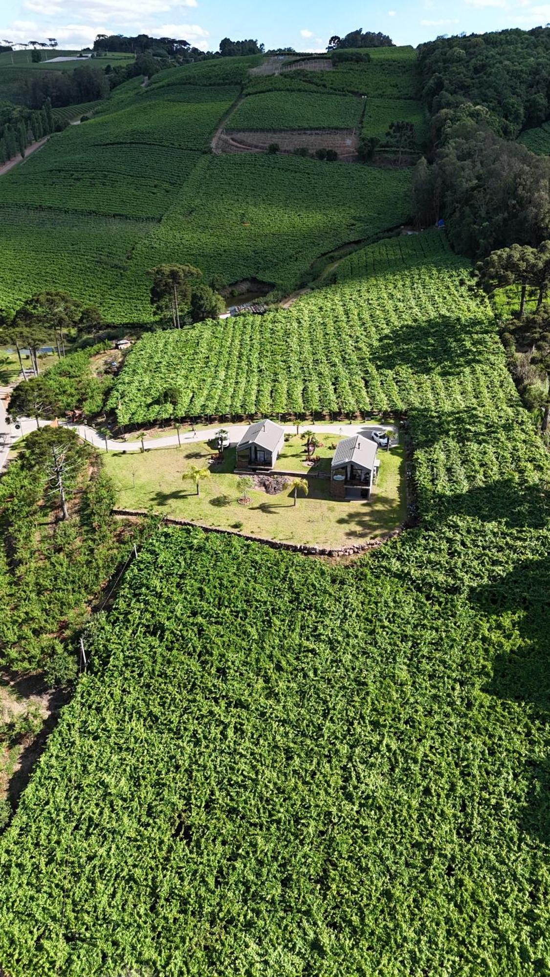Cabanas Le Vigne Pinto Bandeira Zewnętrze zdjęcie