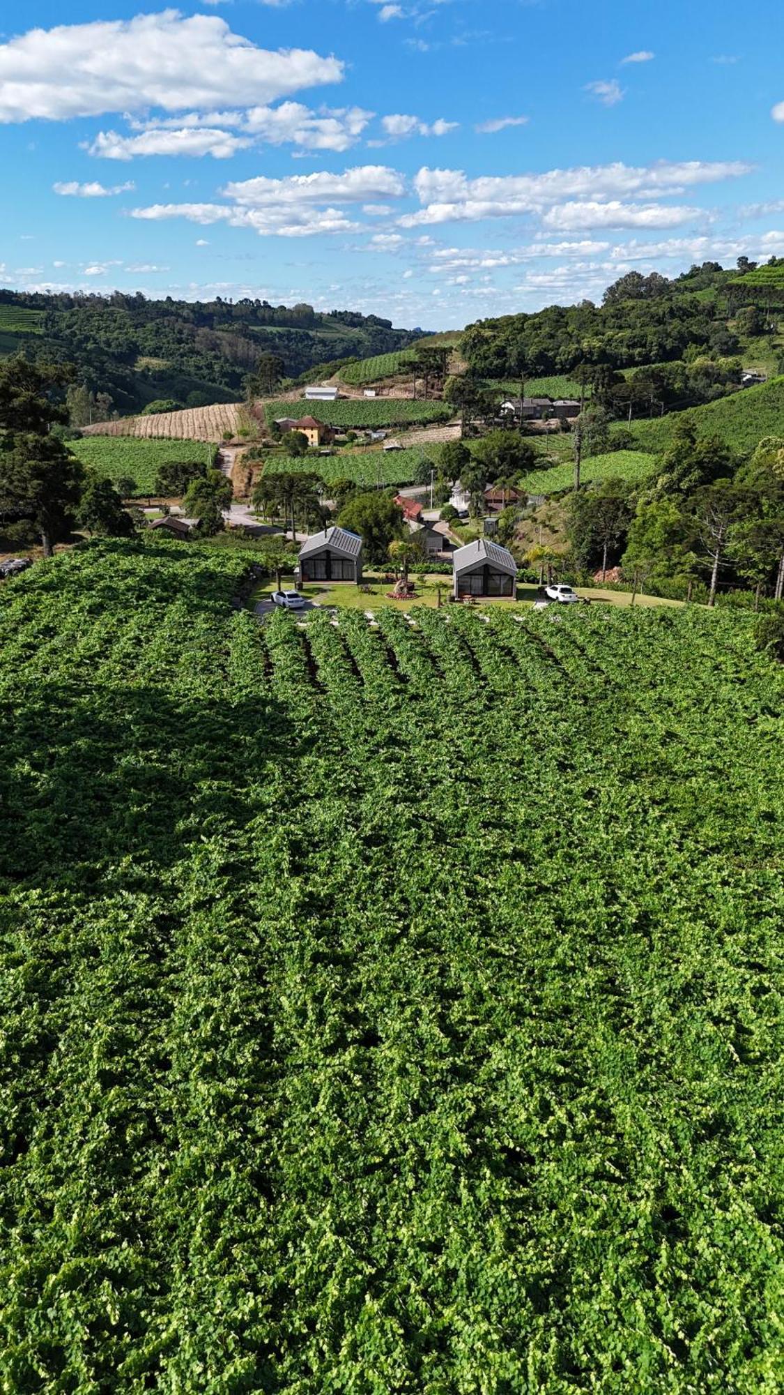 Cabanas Le Vigne Pinto Bandeira Zewnętrze zdjęcie