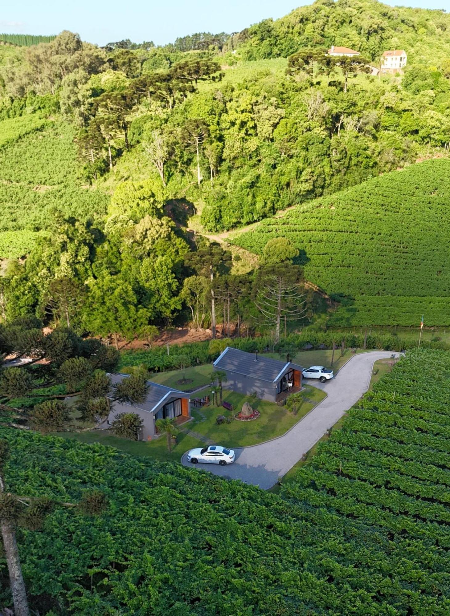 Cabanas Le Vigne Pinto Bandeira Zewnętrze zdjęcie